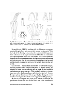  no thumbnail available