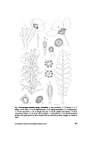  no thumbnail available