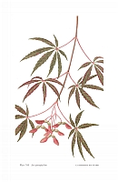  no thumbnail available