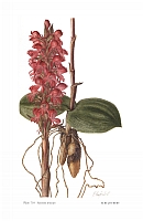  no thumbnail available