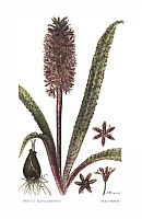  no thumbnail available