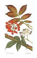  no thumbnail available