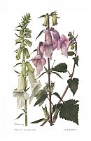  no thumbnail available