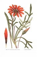  no thumbnail available