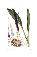 no HD illustration available (5) 