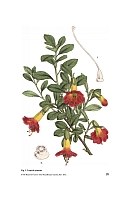  no thumbnail available