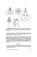 no HD illustration available (5) 