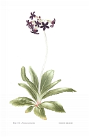 no HD illustration available (5) 