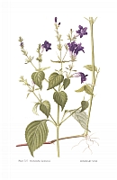  no thumbnail available