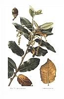  no thumbnail available