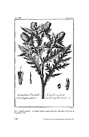  no thumbnail available