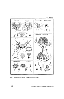  no thumbnail available