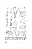  no thumbnail available