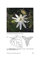  no thumbnail available