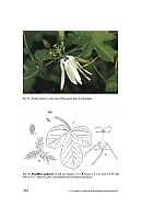  no thumbnail available