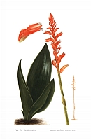  no thumbnail available