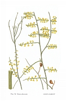  no thumbnail available