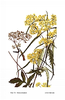  no thumbnail available