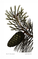  no thumbnail available