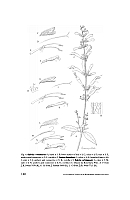  no thumbnail available