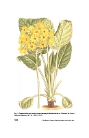  no thumbnail available