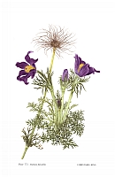  no thumbnail available