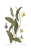  no thumbnail available