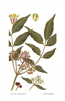  no thumbnail available