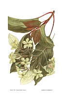  no thumbnail available