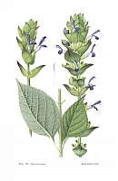  no thumbnail available