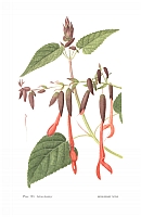  no thumbnail available