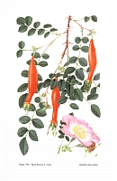  no thumbnail available