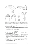  no thumbnail available