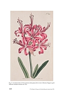  no thumbnail available