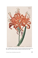  no thumbnail available