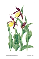  no thumbnail available