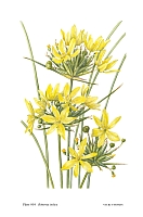  no thumbnail available