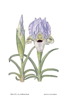  no thumbnail available