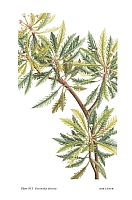  no thumbnail available