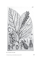 no HD illustration available (5) 