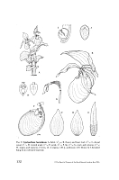 no HD illustration available (5) 