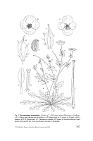  no thumbnail available