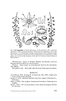 no HD illustration available (5) 