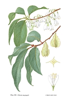  no thumbnail available