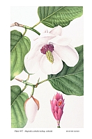  no thumbnail available