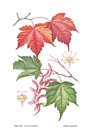  no thumbnail available