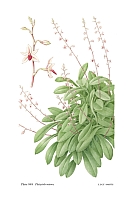  no thumbnail available