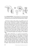  no thumbnail available