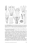  no thumbnail available