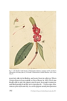  no thumbnail available